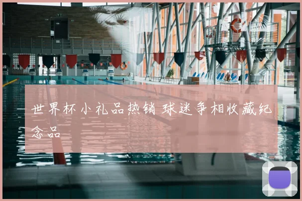 世界杯小礼品热销 球迷争相收藏纪念品