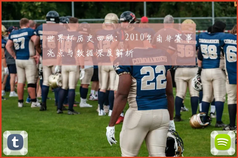 世界杯历史回顾：2010年南非赛事亮点与数据深度解析