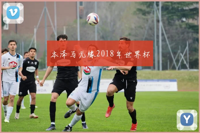 本泽马无缘2018年世界杯