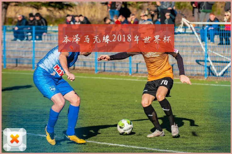 本泽马无缘2018年世界杯
