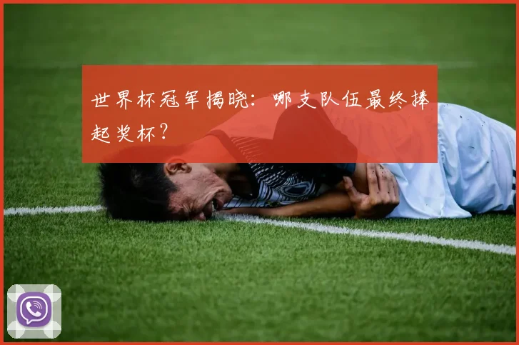 世界杯冠军揭晓:哪支队伍最终捧起奖杯?