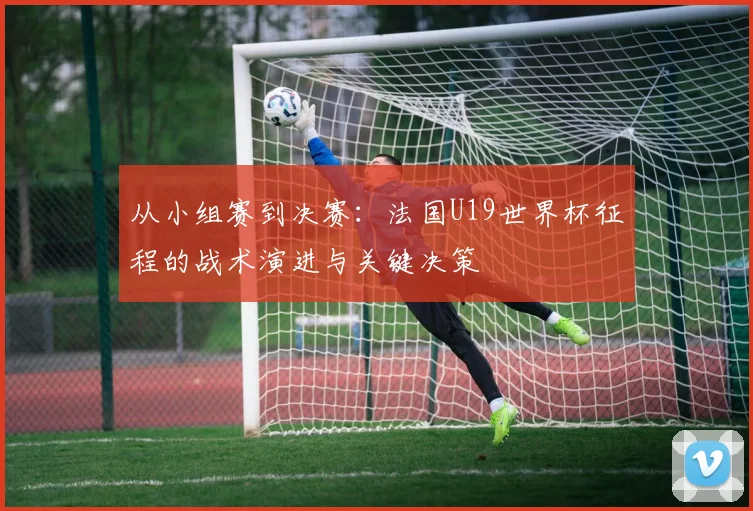 从小组赛到决赛:法国U19世界杯征程的战术演进与关键决策