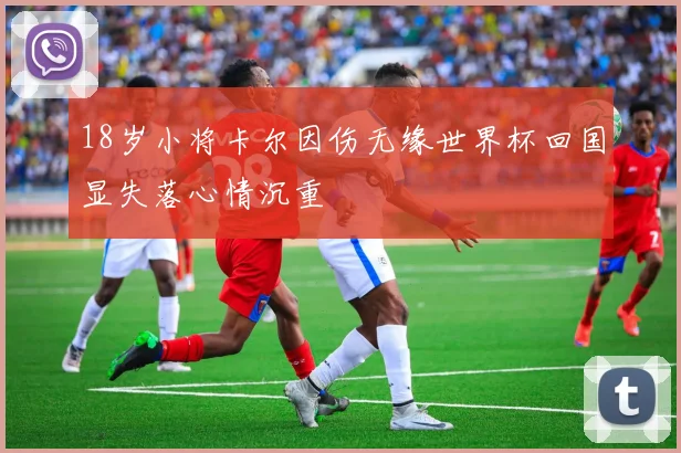 18岁小将卡尔因伤无缘世界杯回国显失落心情沉重