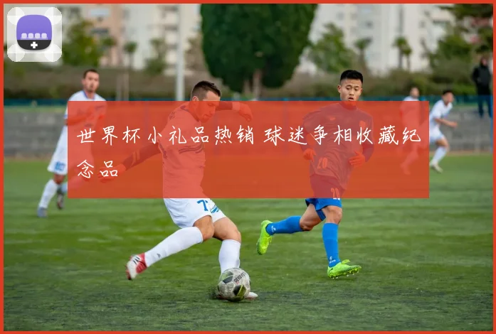 世界杯小礼品热销 球迷争相收藏纪念品