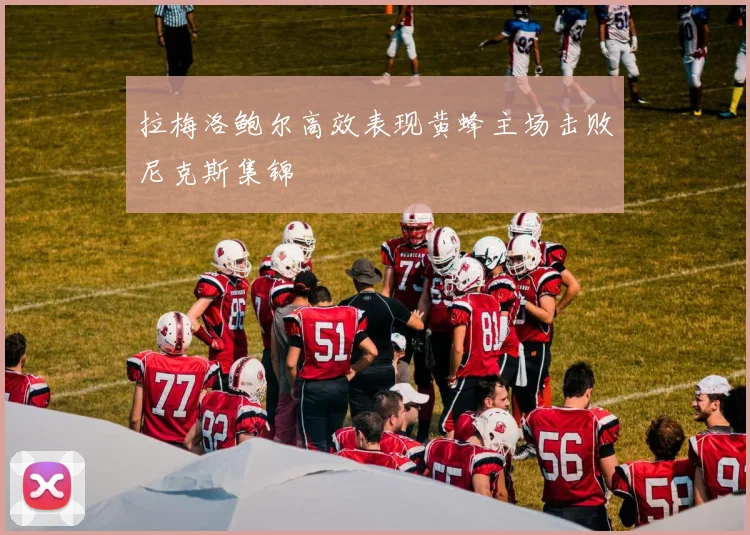 拉梅洛鲍尔高效表现黄蜂主场击败尼克斯集锦