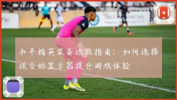 和平精英装备选购指南：如何选择适合的显示器提升游戏体验